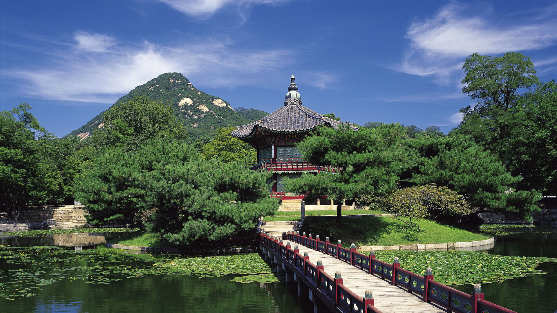 伊普斯维奇城注重青训,培养未来之星,伊普斯维奇球衣