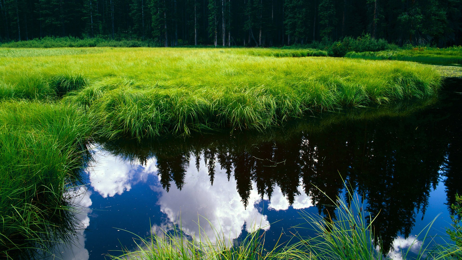 -克罗地亚队在巴黎奥运会手球比赛中击败多支强队，克罗地亚国家队赞助