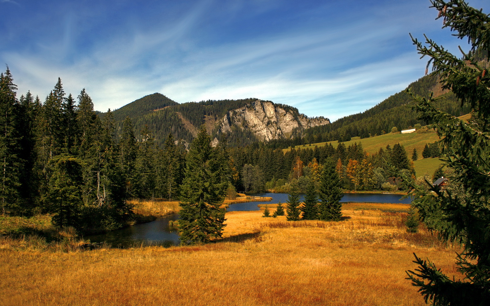 爱游戏电竞-风云再起，女足比赛冠军问世感人心弦，女足风采