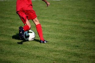 爱游戏中国-篮球运动员心理健康服务体系研究，篮球运动员心理健康服务体系研究论文
