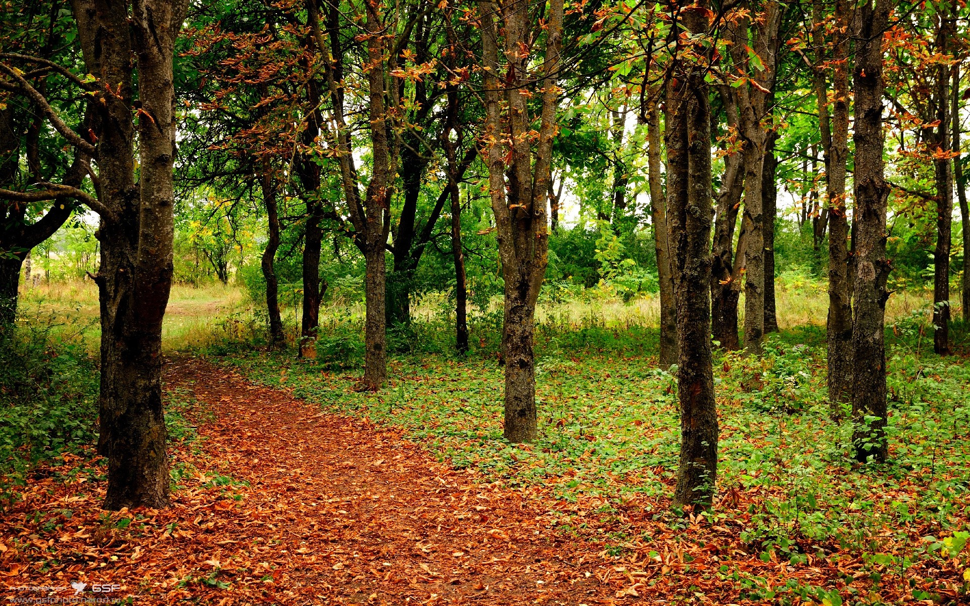 国家队赛事运营缺乏市场化思维支持