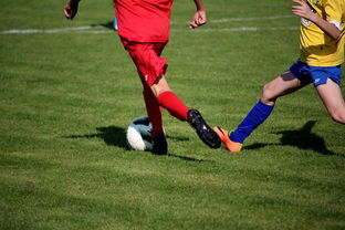 爱游戏注册入口-国际足球俱乐部青训论坛在广州召开，国际足联青训补偿标准