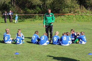 爱游戏下载-球队教练组是否借助VAR数据辅助赛后战术修复，球员 教练