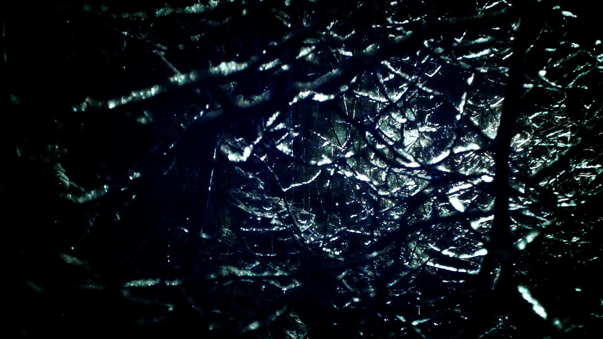 国家田径协会发布跨学科体能评估应用研究成果，体育跨学科融合实施途径