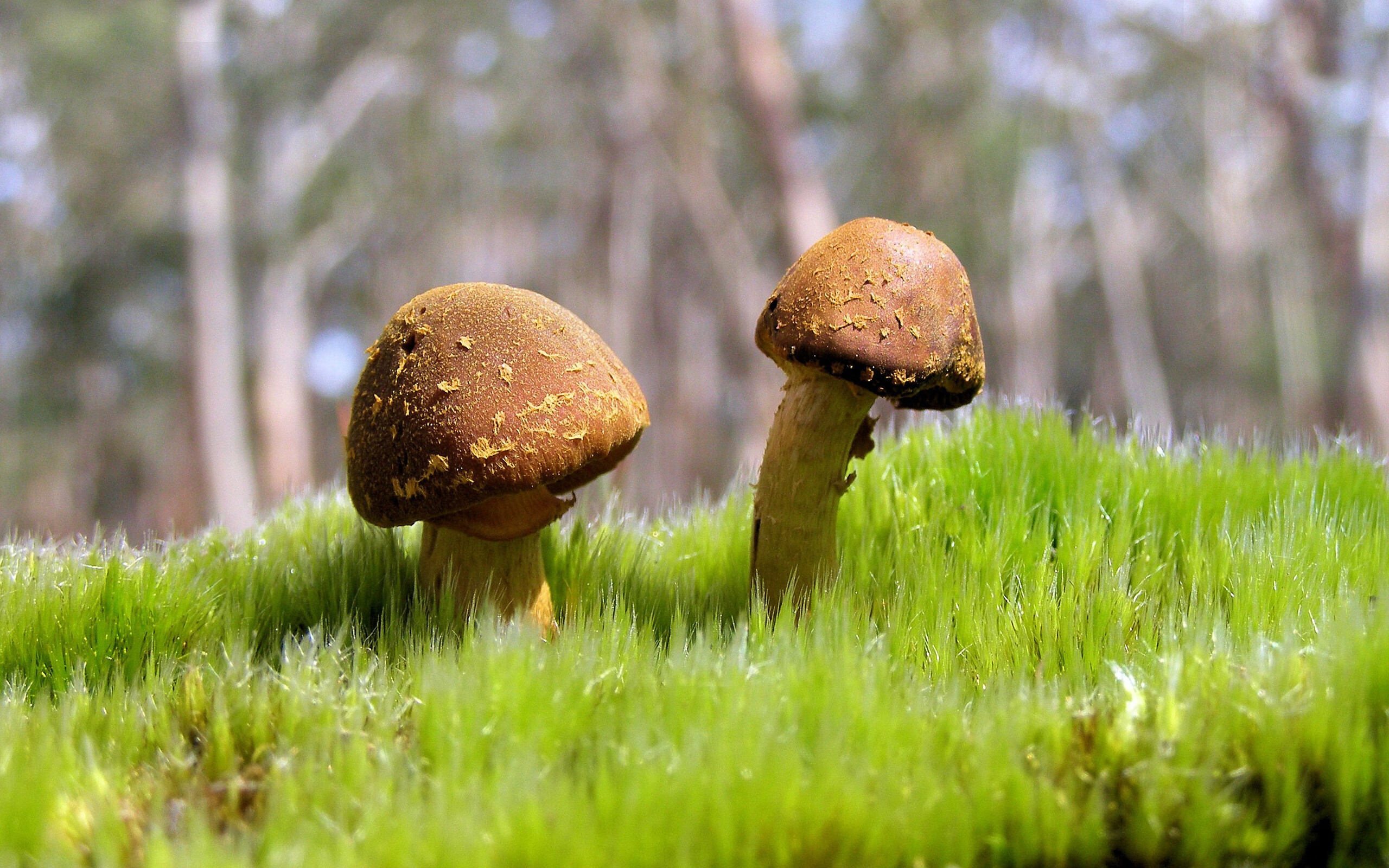 爱游戏娱乐平台-米切尔希望带领球队冲击更高排名，米切尔得分