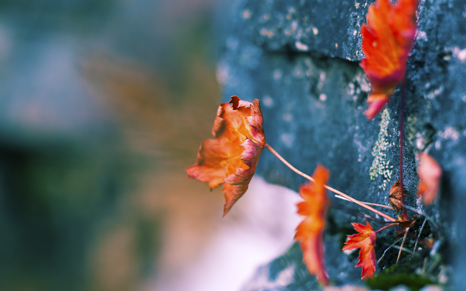 爱游戏APP-马里特·斯滕伯根决赛发挥超出预期，马斯特里对特尔斯达预测