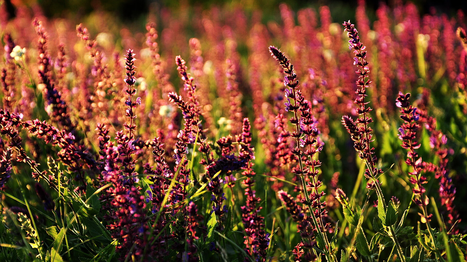 青训营结合科技手段完善训练反馈机制,青训课程